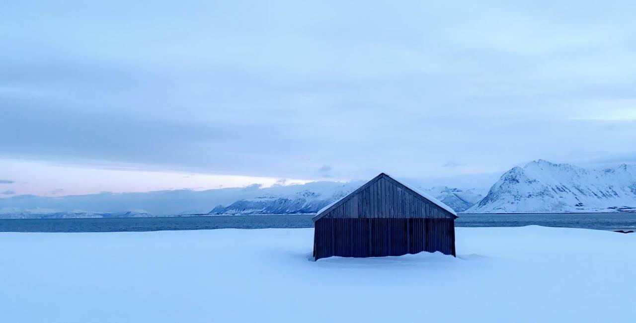 Narnia Lodge Lofoten Gimsoy Exterior foto