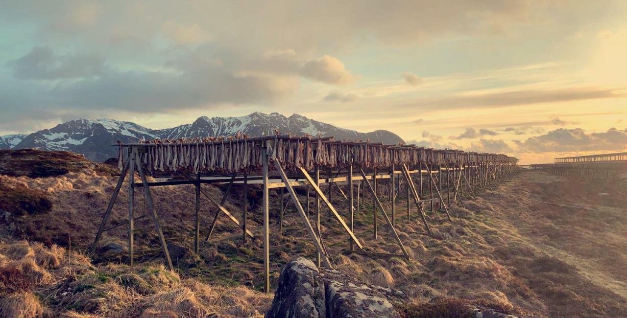 Narnia Lodge Lofoten Gimsoy Exterior foto