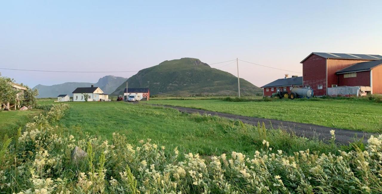 Narnia Lodge Lofoten Gimsoy Exterior foto